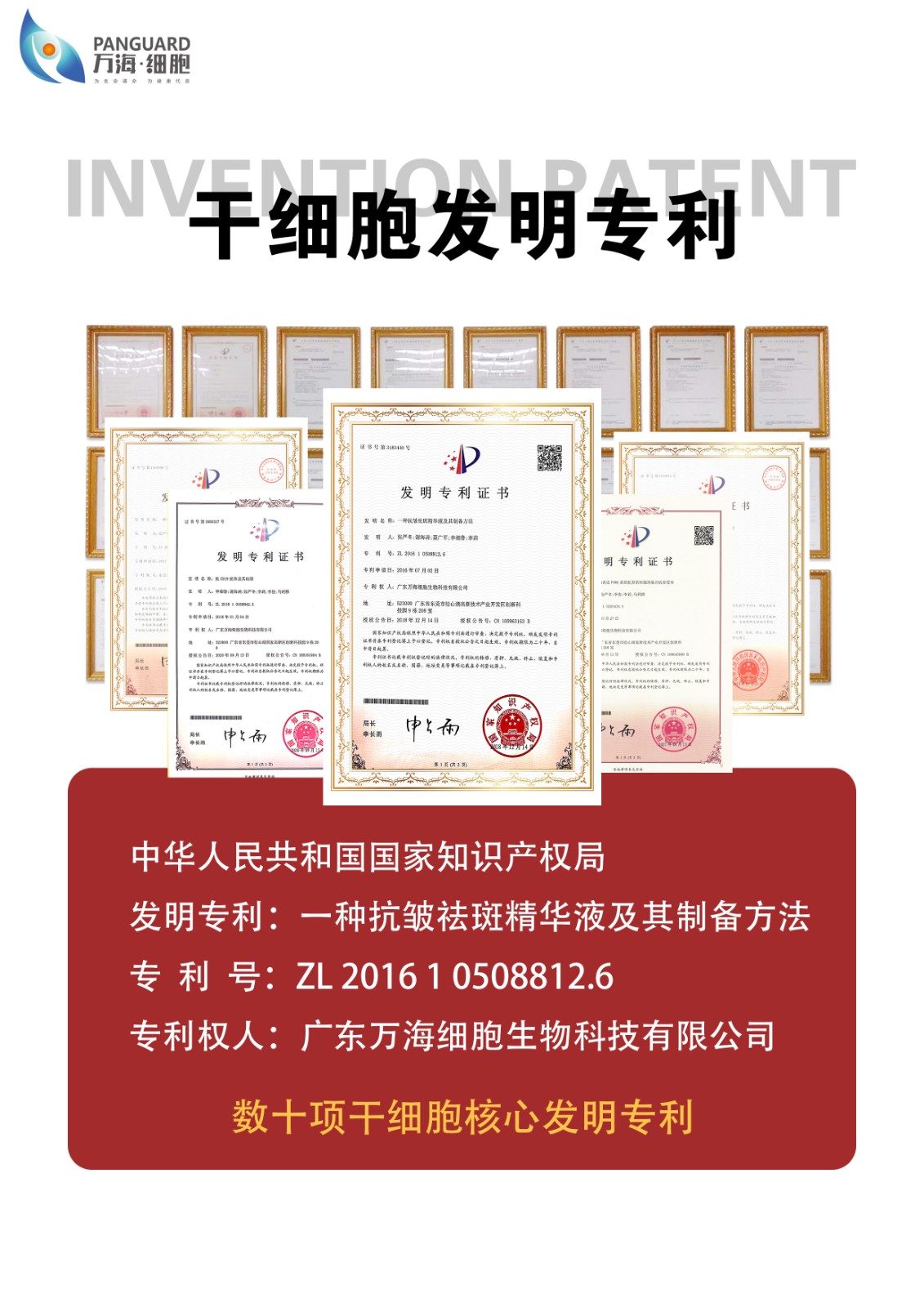专利证书.jpg